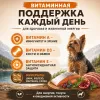 Primordial Grain Free Mini Adult Dog беззерновой корм для взрослых собак мелких пород с форелью и уткой, 2 кг