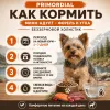 Primordial Grain Free Mini Adult Dog беззерновой корм для взрослых собак мелких пород с форелью и уткой, 2 кг
