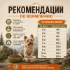Primordial Grain Free Mini Adult Dog беззерновой корм для взрослых собак мелких пород с форелью и уткой, 6 кг