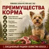 Primordial Grain Free Mini Adult Dog беззерновой корм для взрослых собак мелких пород с кабаном и ягнёнком, 6 кг