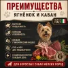 Primordial Grain Free Mini Adult Dog беззерновой корм для взрослых собак мелких пород с ягнёнком и кабаном, 2 кг