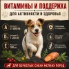 Primordial Grain Free Mini Adult Dog беззерновой корм для взрослых собак мелких пород с ягнёнком и кабаном, 2 кг