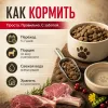 Primordial Grain Free Mini Adult Dog беззерновой корм для взрослых собак мелких пород с ягнёнком и кабаном, 2 кг