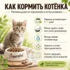Primordial Grain Free Kitten беззерновой корм для котят с уткой и индейкой, 2 кг
