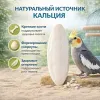 RIO Кость сепии (панцирь каракатицы) XL — минеральная подкормка для птиц, кальций 36%