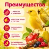 RIO Палочки с фруктами и ягодами для канареек, 2×40 г