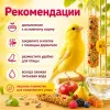 RIO Палочки с фруктами и ягодами для канареек, 2×40 г