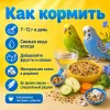 RIO Основной рацион корм для волнистых попугайчиков, 3 кг