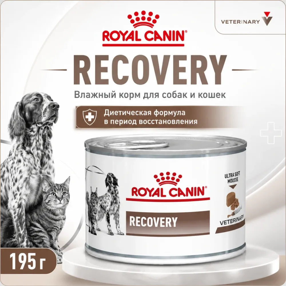 Royal Canin Recovery влажный диетический корм для собак и кошек 195 г