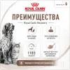 Royal Canin Recovery влажный диетический корм для собак и кошек 195 г