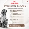 Royal Canin Recovery влажный диетический корм для собак и кошек 195 г