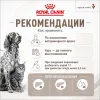 Royal Canin Recovery влажный диетический корм для собак и кошек 195 г