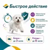 Симпарика 10 мг таблетки от блох и клещей для собак 2,6-5 кг, 3 шт