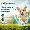 Симпарика 40 мг таблетки от блох и клещей для собак 10,1-20 кг, 3 шт