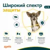 Симпарика 5 мг таблетки от блох и клещей для собак 1,3-2,5 кг, 3 шт