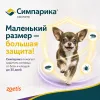 Симпарика 5 мг таблетки от блох и клещей для собак 1,3-2,5 кг, 3 шт