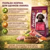 AWARD All Breed Puppy сухой корм для щенков всех пород с ягненком и индейкой, 12 кг