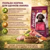 AWARD корм для щенков с ягненком и индейкой сухой супер премиум 2 кг