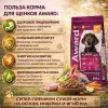 AWARD корм для щенков с ягненком и индейкой сухой супер премиум 800 г