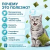BEAPHAR Cat-A-Dent Bits лакомство-добавка для кошек для ухода за зубами, 35 г