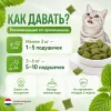 BEAPHAR Catnip Bits лакомство-подушечки для кошек и котят с кошачьей мятой, 35 г