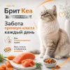 Brit Care пауч с лососем и морковью для стерилизованных кошек, 85 г