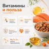 Brit Care пауч с лососем и морковью для стерилизованных кошек, 85 г