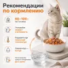 Brit Care пауч с лососем и морковью для стерилизованных кошек, 85 г