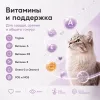 Dibaq Delicious Cat Herring Turkey сухой беззерновой корм с сельдью, лососем и индейкой для взрослых кошек, 6 кг