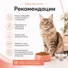 Dibaq Sense Cat Urinary сухой беззерновой корм с лососем и тунцом для взрослых кошек, 6 кг