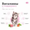 Dibaq Sense Cat Grain Free Kitten сухой беззерновой корм с индейкой и лососем для котят, 1.5 кг