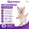 Gemon Cat Kitten Beef & Rice сухой корм для котят с говядиной и рисом, 2 кг