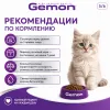 Gemon Cat Kitten Beef & Rice сухой корм для котят с говядиной и рисом, 2 кг