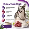 Gemon Dog Maxi Adult влажный корм с говядиной и рисом для крупных собак, 1,25 кг