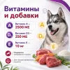 Gemon Dog Maxi Adult влажный корм с говядиной и рисом для крупных собак, 1,25 кг