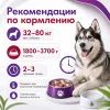 Gemon Dog Maxi Adult влажный корм с говядиной и рисом для крупных собак, 1,25 кг