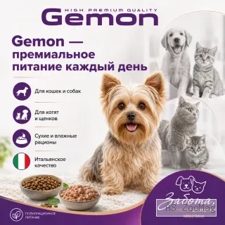 Сухой корм Gemon Dog Mini Adult для собак мелких пород с лососем и рисом, 3 кг