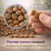 Gosbi Exclusive Chicken & Turkey Adult — сухой корм для кошек 1+, 400 г