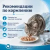 Happy Cat Culinary Meat in Sauce QuellwasserForelle влажный корм для кошек с форелью, 85 г