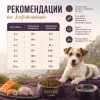 Happy Dog Mini Ireland сухой корм для собак мелких пород с лососем и кроликом, 10 кг