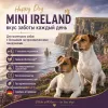 Happy Dog Mini Ireland сухой корм для собак мелких пород с лососем и кроликом, 4 кг