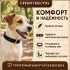 Ошейник Каскад «Классика» кожаный для собак, 20 мм, 32–40 см