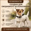 Ошейник Каскад «Классика» кожаный для собак, 20 мм, 32–40 см
