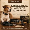 Ошейник Каскад «Классика» кожаный для собак, 20 мм, 32–40 см