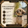 Каскад кожаный ошейник для собак, 15 мм, 24–32 см