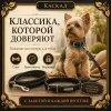 Каскад кожаный ошейник для собак, 15 мм, 24–32 см