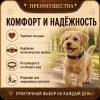 Ошейник Каскад «Классика» кожаный для собак, 20 мм, 27–35 см
