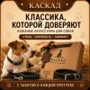 Ошейник Каскад «Классика» кожаный для собак, 20 мм, 27–35 см