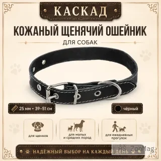 Ошейник Каскад кожаный щенячий для собак, 25 мм, 39–51 см, чёрный