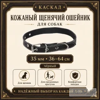 Ошейник Каскад кожаный щенячий для собак, 35 мм, 36–64 см, чёрный